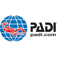 Logo da Padi